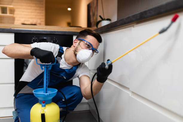 Best Pest Control for Homes  in Stevenson, WA