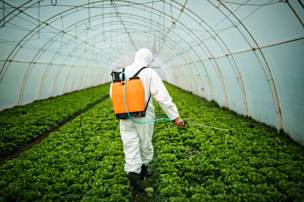 Best Pest Control for Restaurants  in Stevenson, WA