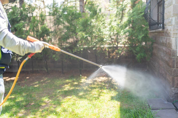 Best Insect Control  in Stevenson, WA