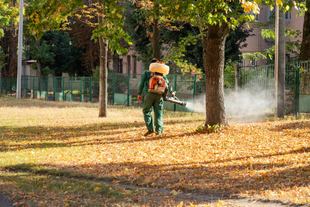 Best Pest Prevention Services  in Stevenson, WA