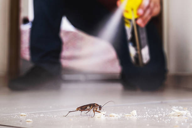 Best Commercial Pest Control Services  in Stevenson, WA