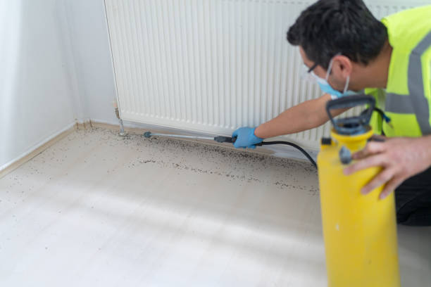 Best Affordable Pest Control Services  in Stevenson, WA